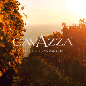 Cavazza GIF