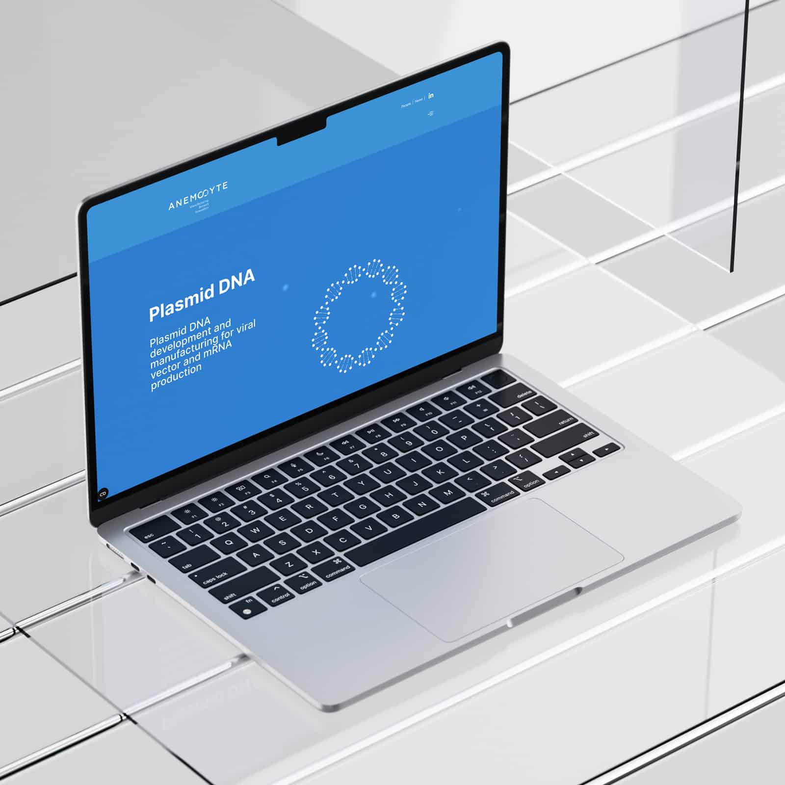 Mockup notebook website