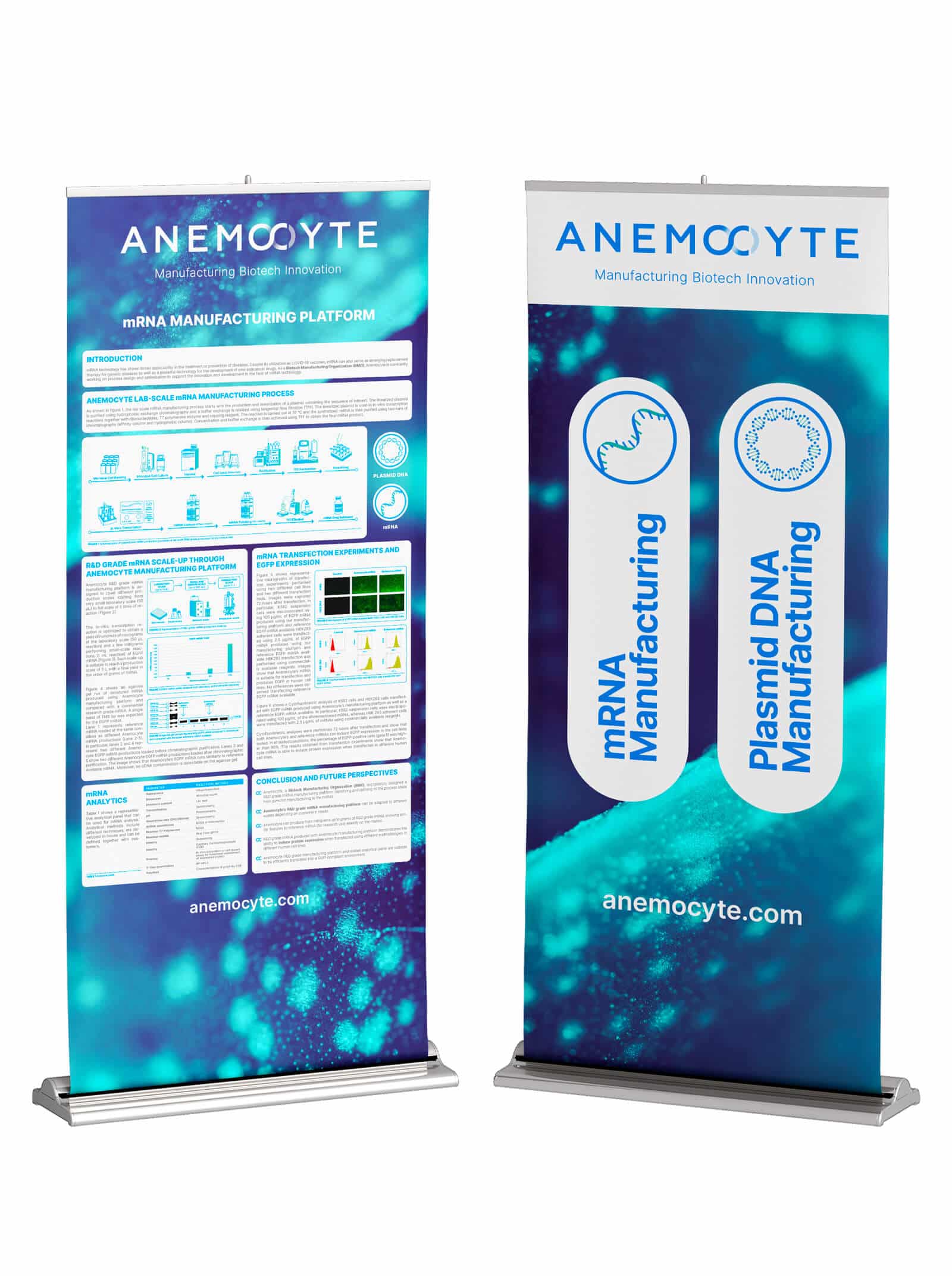 Roll Up Anemocyte