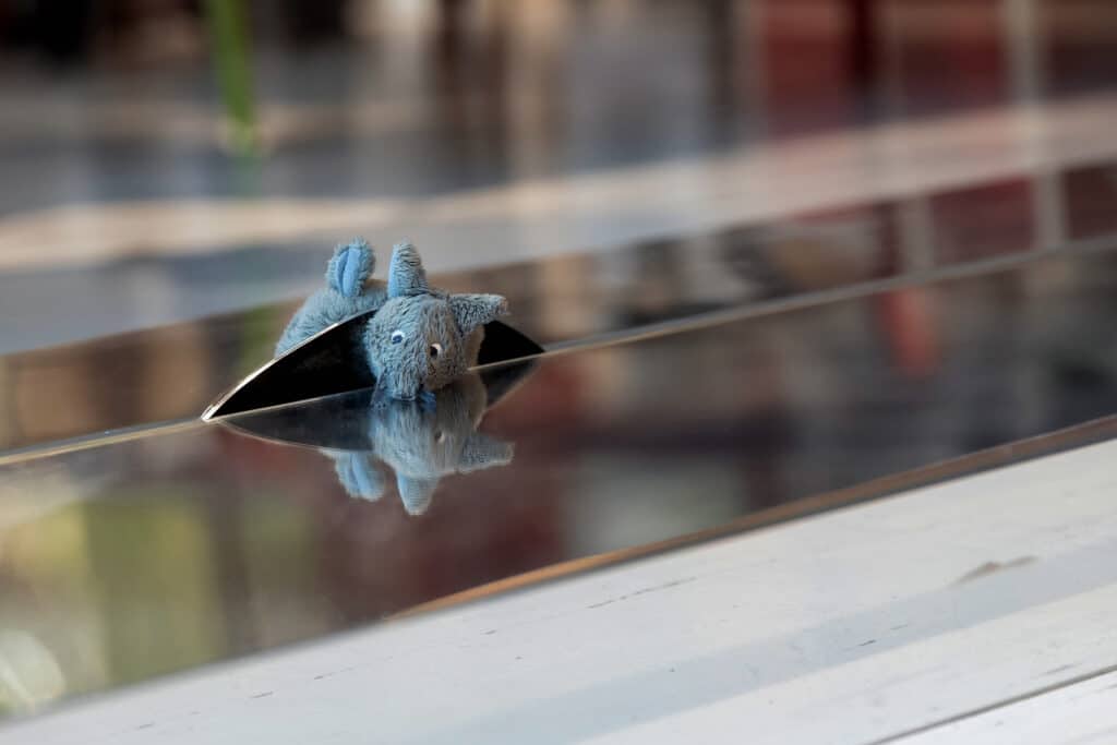 Immagine copertina blog