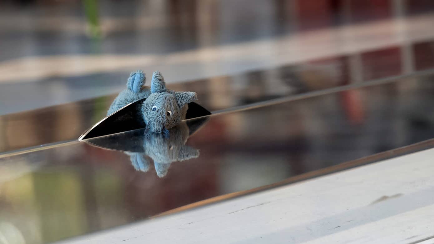 Immagine copertina blog