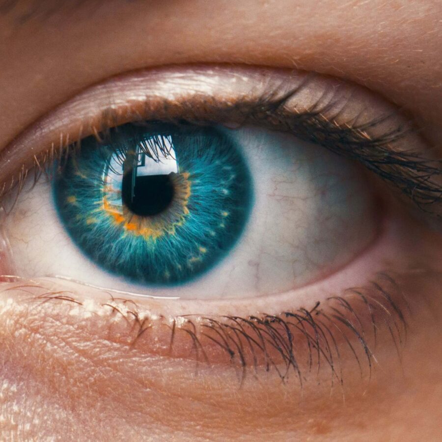 Preview sito Carmen Vision Care