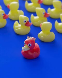 immagine paperelle gialla e una rossa