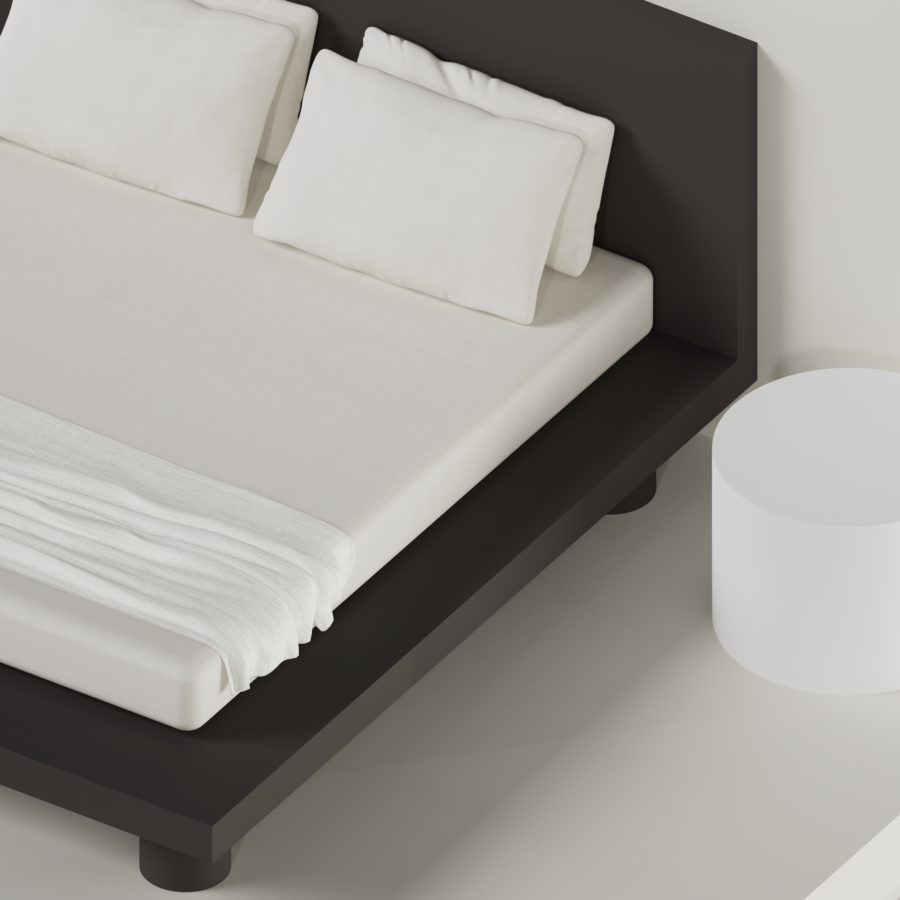 rehau render camera